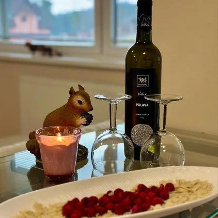 Tymián Apartamento Vyšné Ružbachy