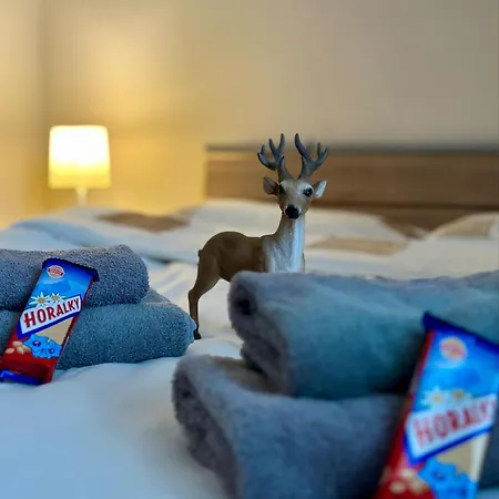 Tymian Апартаменты Вышне-Ружбахи