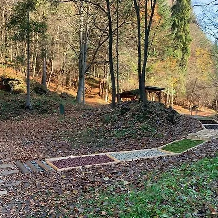 Tymián Appartamento